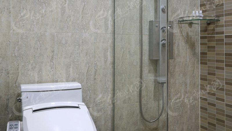 智能马桶语音控制：揭秘其型号优缺点与选购要点